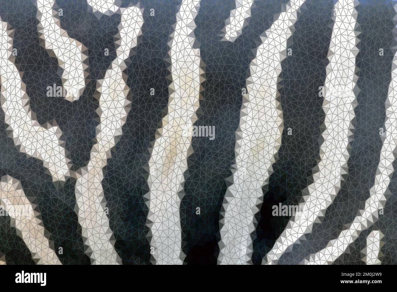 Polygonale Zebrahaut, Zebramuster, Schwarze und weiße Streifen Stockfoto