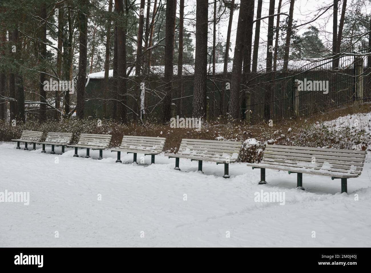 Holzbänke im Park sind mit Schnee bedeckt Stockfoto