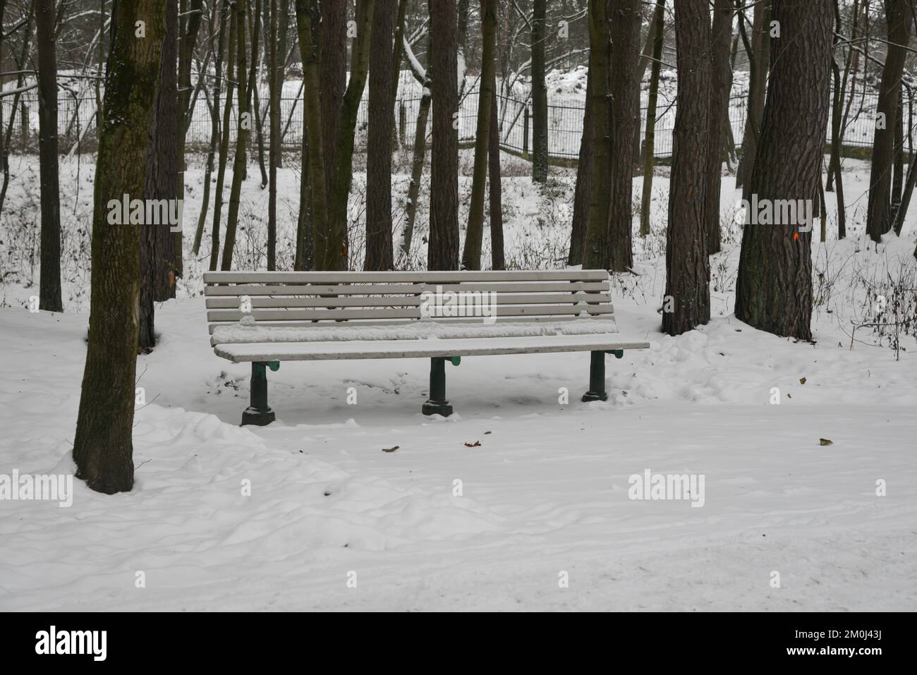 Die Holzbank im Park ist mit Schnee bedeckt Stockfoto