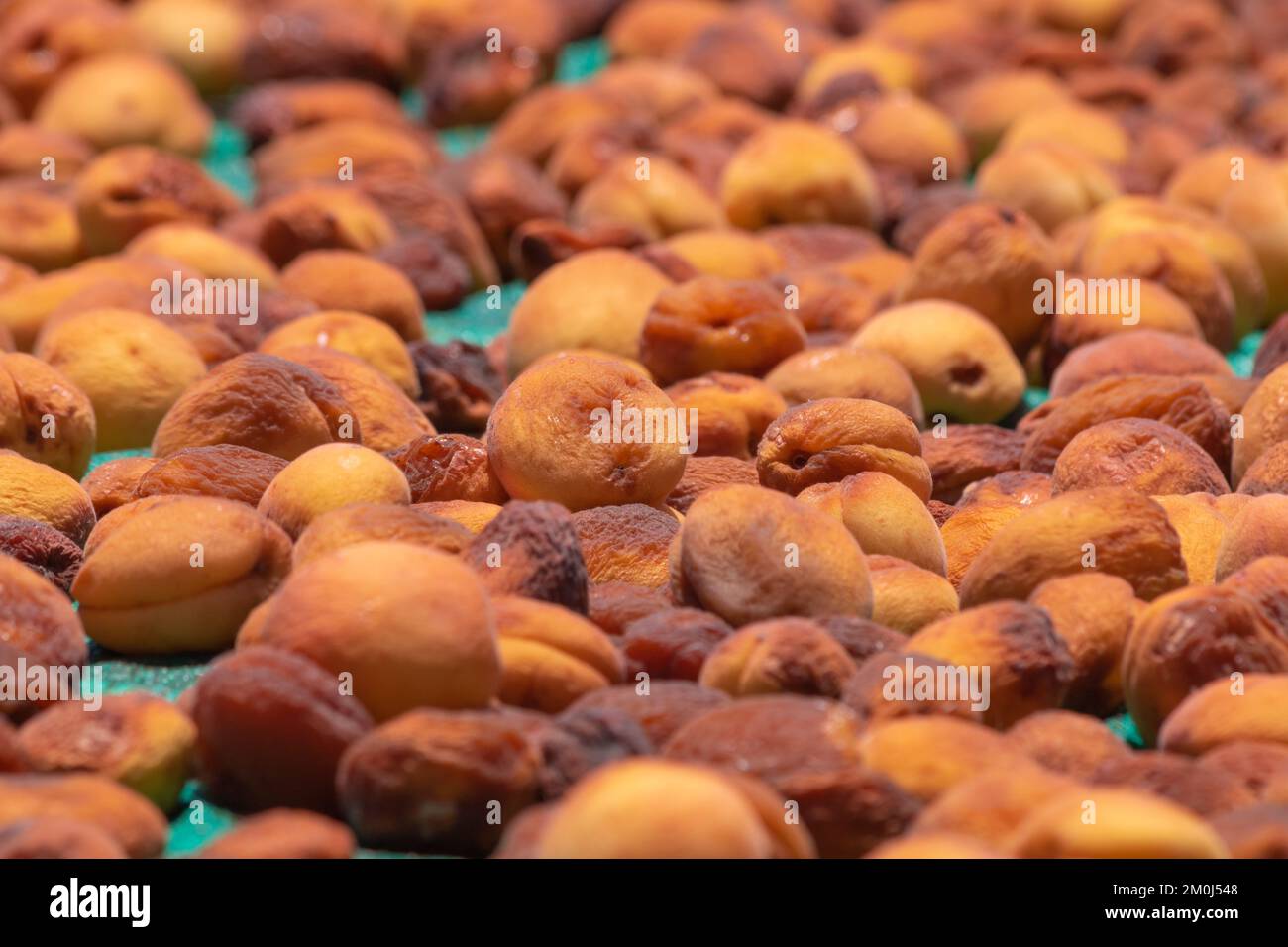 Sonnengetrocknete Aprikosen. Erzeugung von sonnengetrockneten Aprikosen in der Malatja-Türkei. Ökologische Rohlebensmittelproduktion. Stockfoto