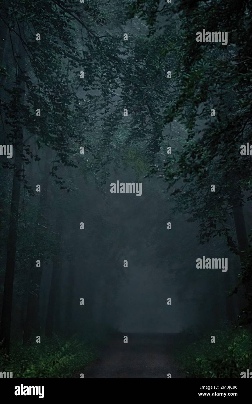 Bild einer dunklen Vorspur und eines Weges im Regen, einfarbig dunkelgrün, dunkle Stimmung, vertikal Stockfoto