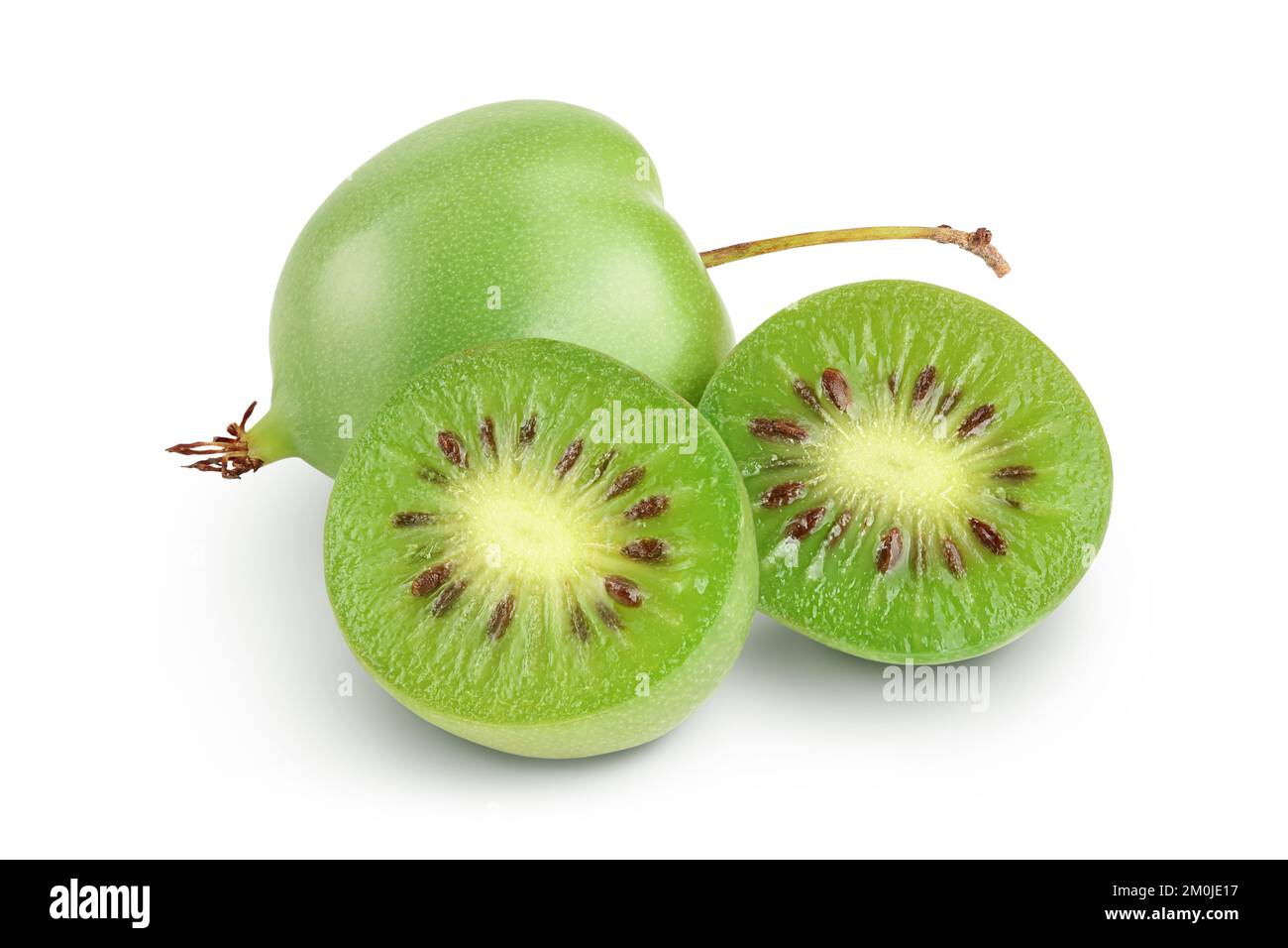Mini-Kiwi-Babyfrucht oder Actinidia arguta isoliert auf weißem Hintergrund mit voller Schärfentiefe. Stockfoto