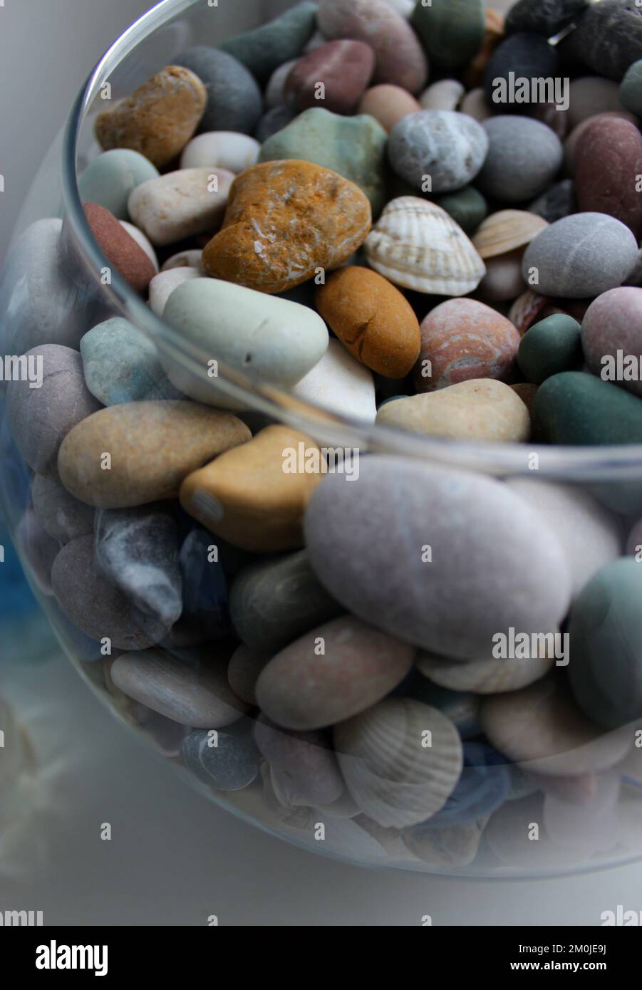 Vertikales Foto Einer Runden Glasvase Mit Glatten Steinen Und Seashells Stockfoto