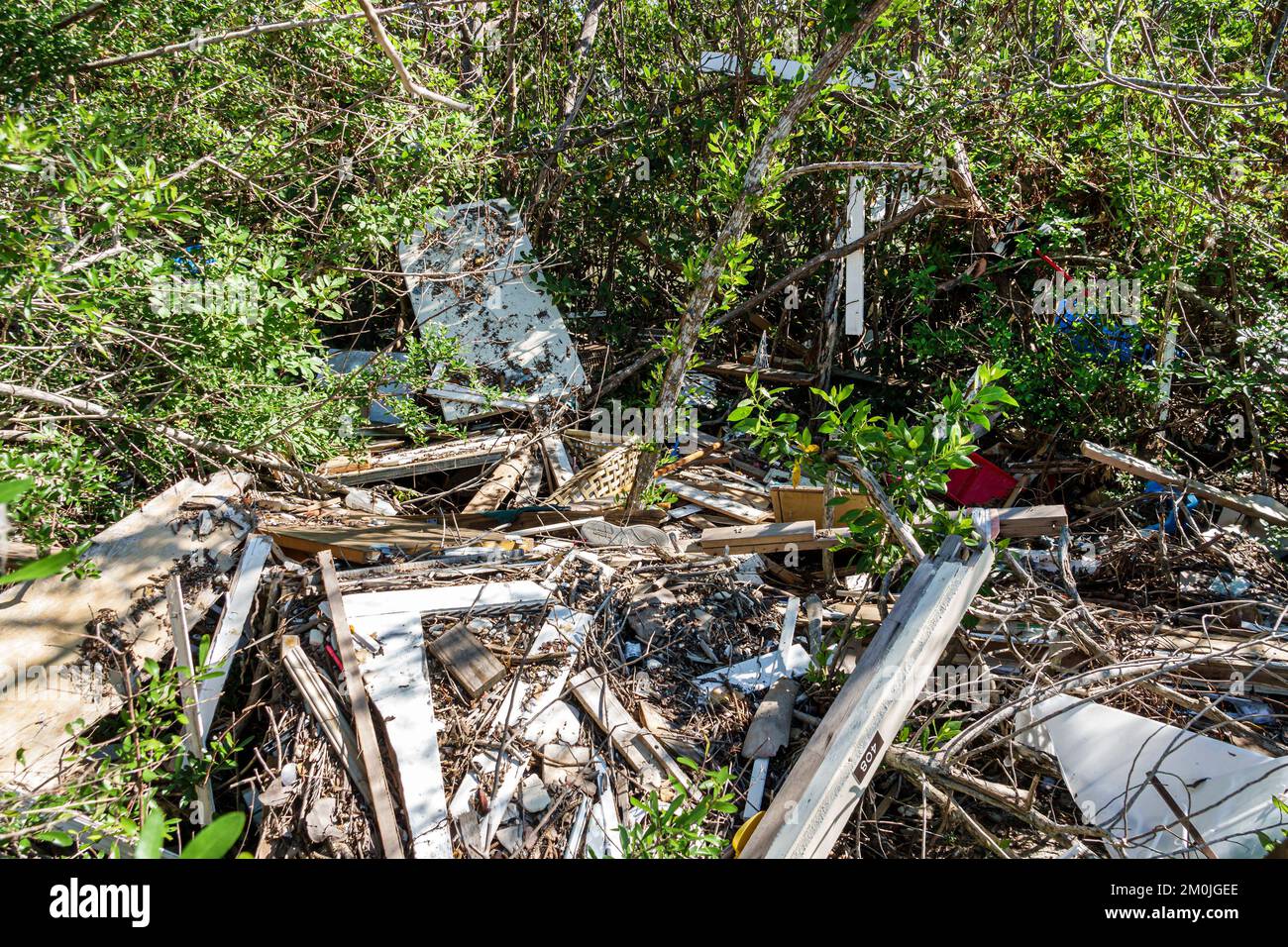 Bonita Springs Bonita Beach Broadway Channel Bay's Island, Hurrikan Ian Schadenszerstörung zerstörte Trümmer Müll Müll von Menschen geschaffene rote Mangrovenbäume Stockfoto