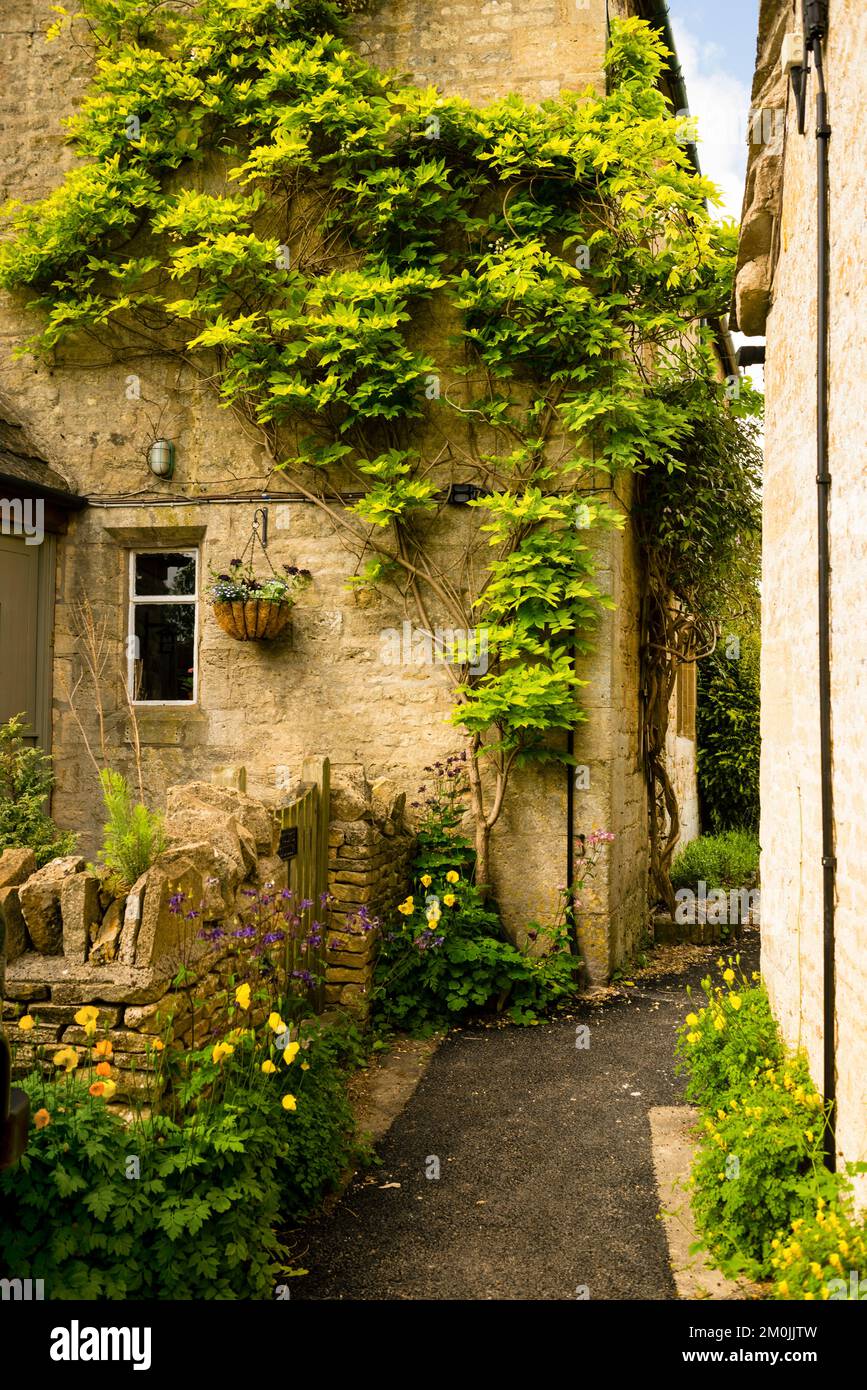 Gartenpfade vorbei an Espadrille-Pflanzen in Guiting Power, Cotswolds District, England. Stockfoto