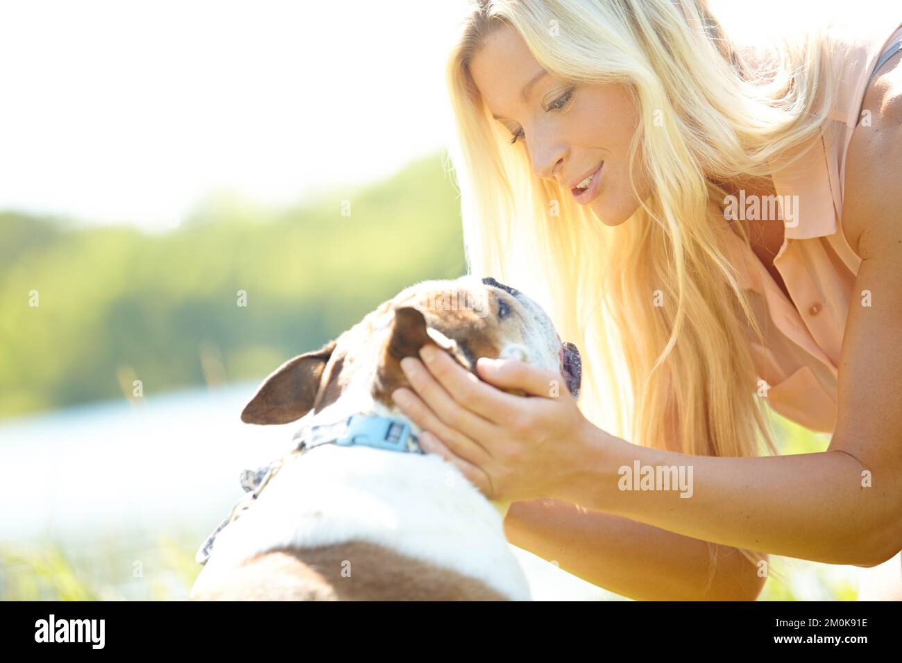 Einen Moment mit meinem besten Freund zu verbringen. Eine schöne Blondine, die mit ihrem Hund auf einer Wiese spricht. Stockfoto