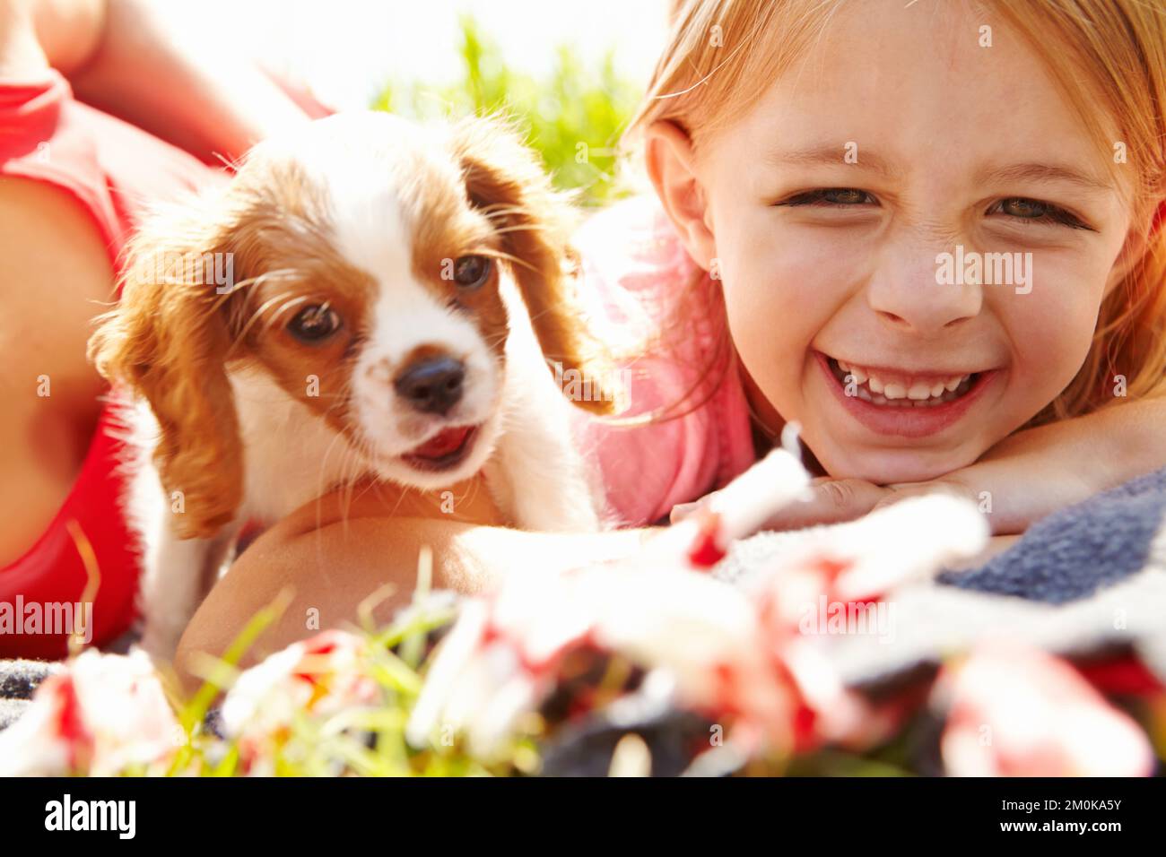 Loyalität und Unschuld. Nahaufnahme eines glücklichen Mädchens mit einem glücklichen Welpen, der auf einer Decke im Park liegt. Stockfoto