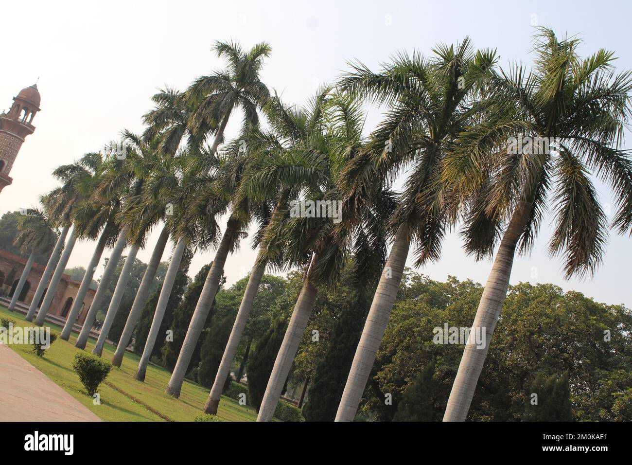 Herrlicher Blick auf Safdarjung's Grab in Delhi, Indien. Wunderschönes Mausoleum aus rotem Sandstein. Wundervolle Mogul-Architektur. Das Grab ist ein beliebter Tourist Stockfoto