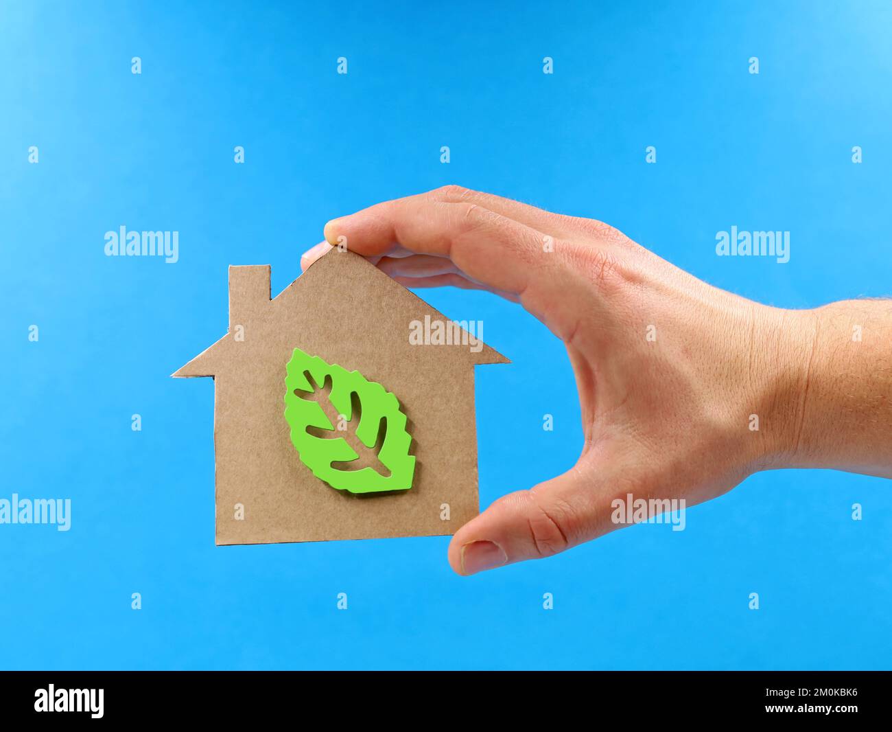 Hand hält ein Papphaus mit grünen Blättern innen auf blauem Hintergrund, Konzeptbild von energieeffizient Stockfoto