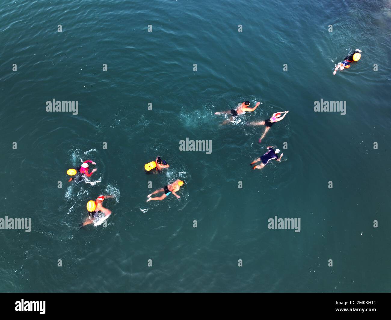 LIANYUNGANG, CHINA - 7. DEZEMBER 2022 - Winterschwimmfans schwimmen im Meer am Strand in Lianyungang City, Ostchina Jia Stockfoto