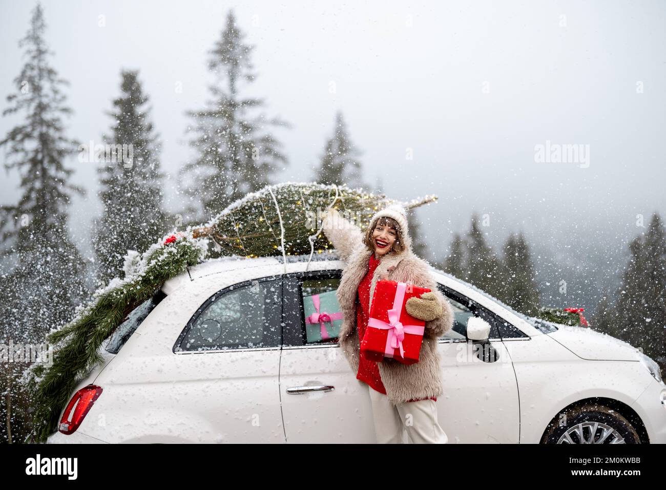 Frau, die mit dem Auto unterwegs ist, mit einem Weihnachtsbaum auf den Bergen Stockfoto