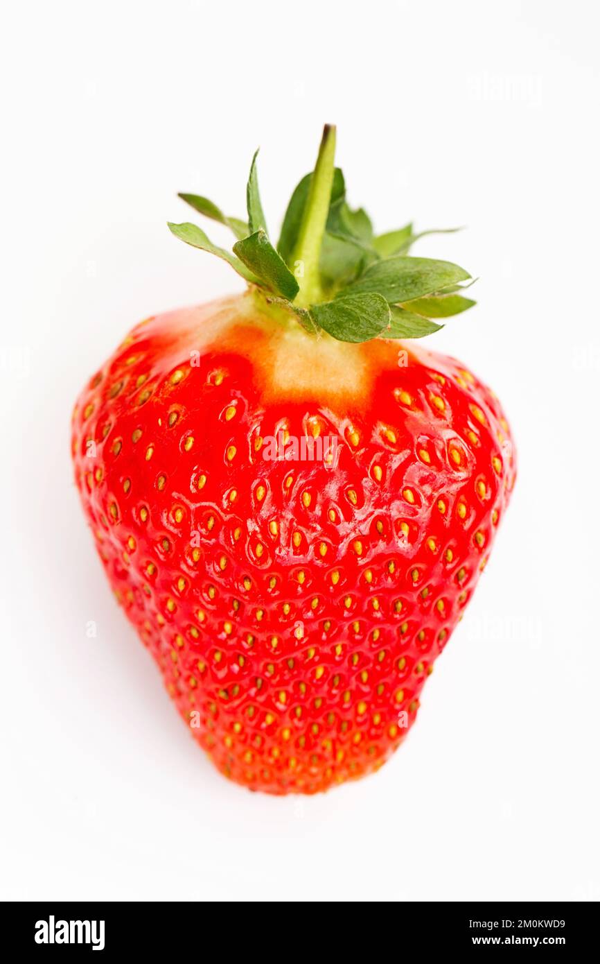 Erdbeere isoliert auf weißem Hintergrund. Frische, reife Erdbeeren auf weißem Hintergrund Stockfoto