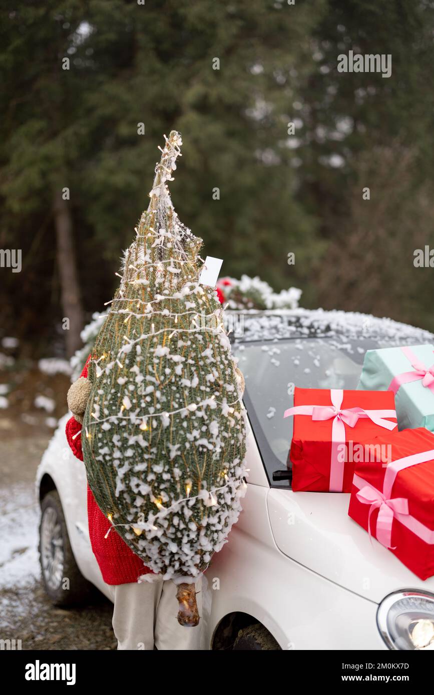Frau mit eingewickeltem Weihnachtsbaum in der Nähe eines Autos in den Bergen Stockfoto