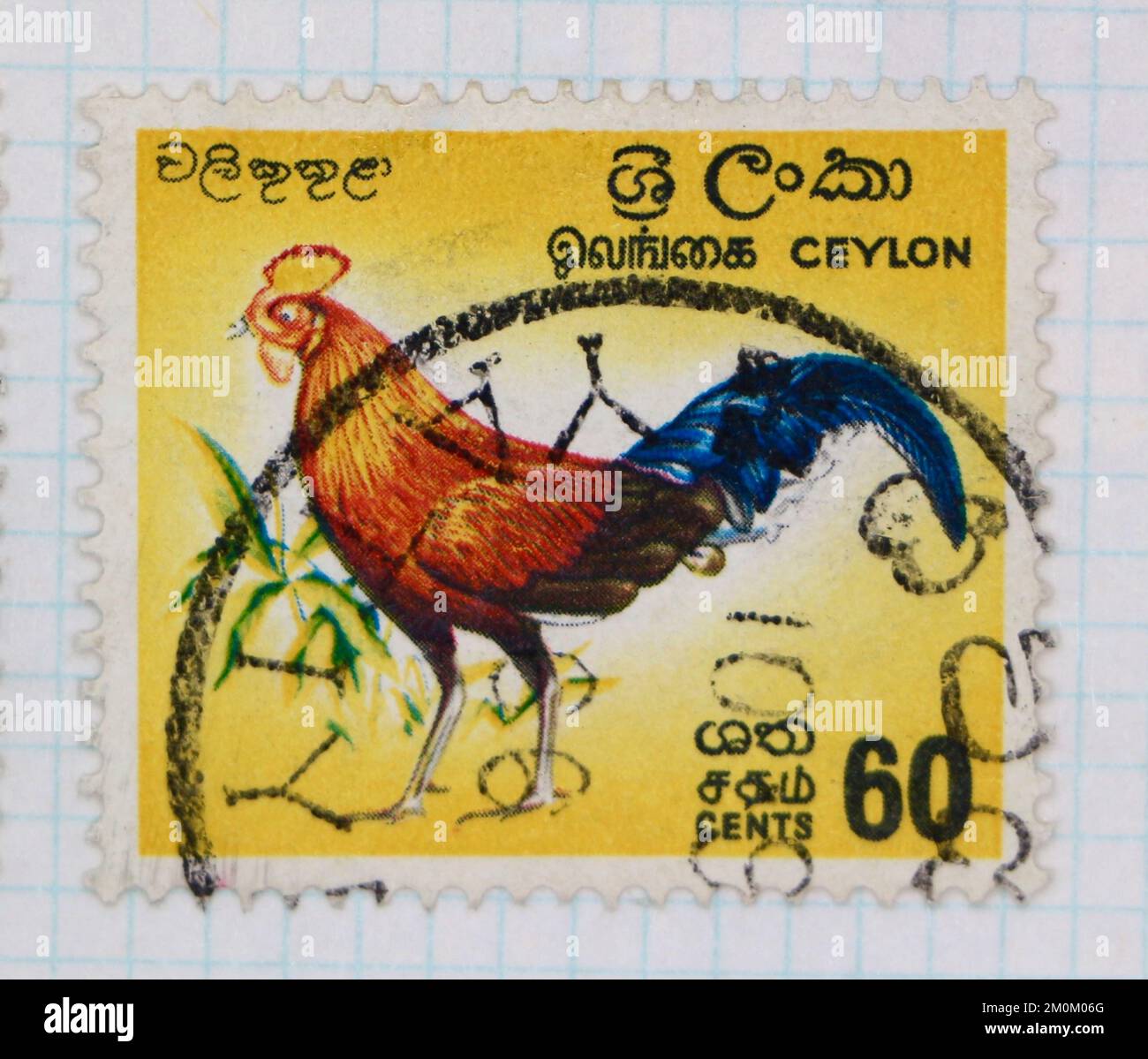 Foto einer Briefmarke von Ceylon Sri Lankan Junglefowl Gallus lafayettii definitive Issue 1964-72 1966 Stockfoto