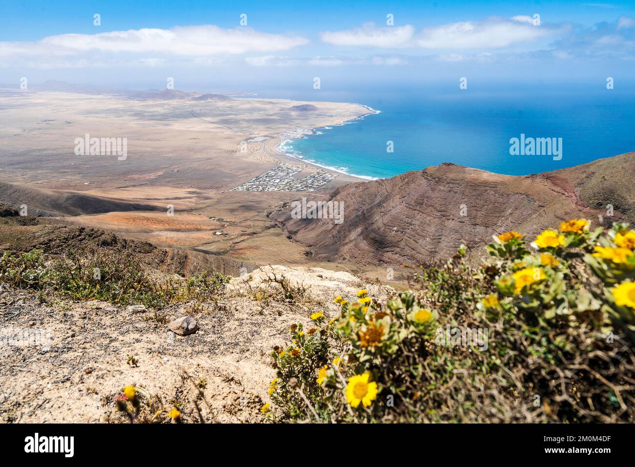 Wunderschöne Lanzarote-Landschaft mit Famara und gelben Blumen im Vordergrund, Kanarische Inseln, Spanien Stockfoto