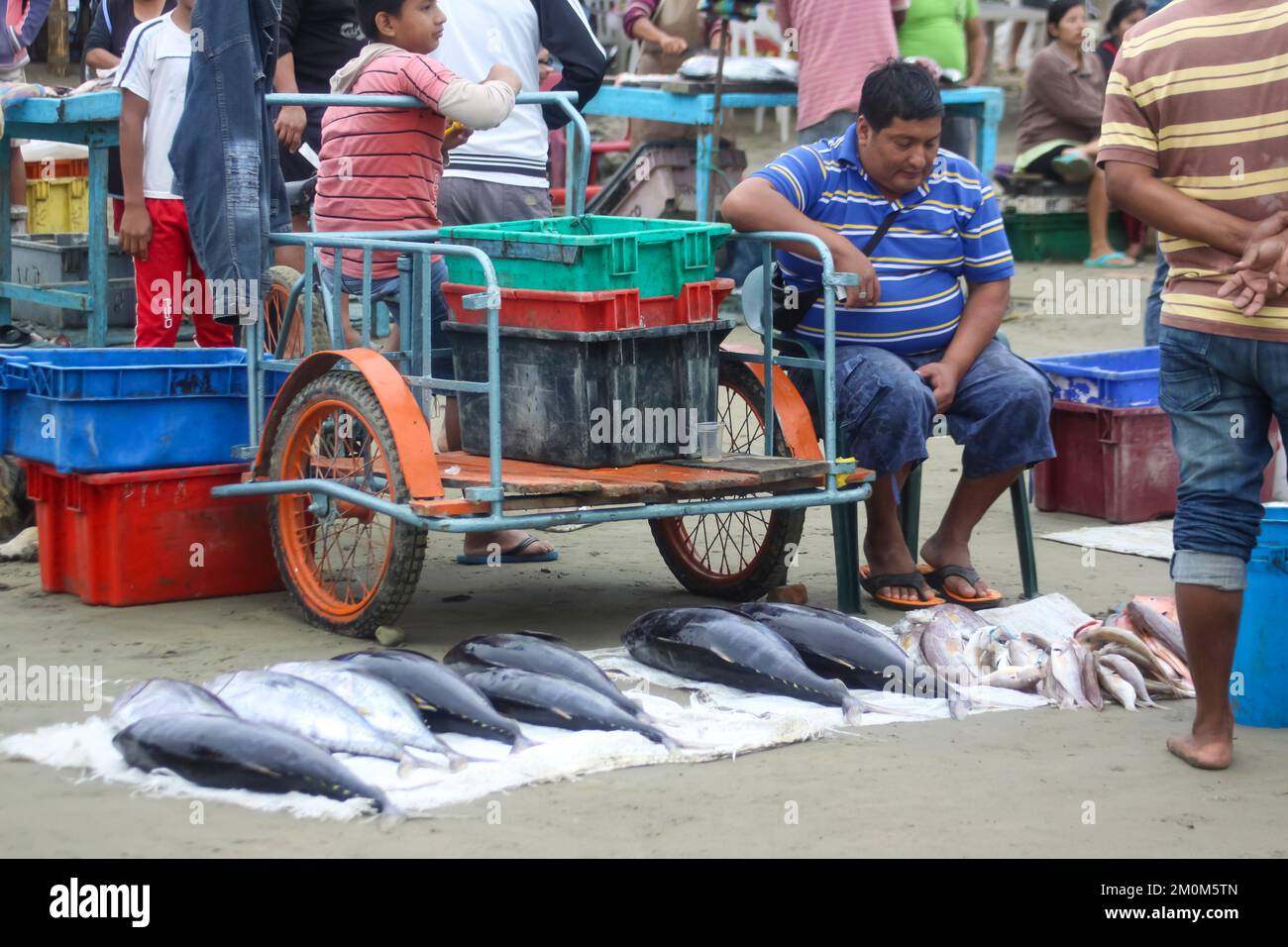 Fischmarkt in Puerto Lopez, Ecuador. Puerto López (16.000 Einwohner) ist ein kleines Fischerdorf in einer bogenförmigen Bucht an der Pazifikküste der EG Stockfoto