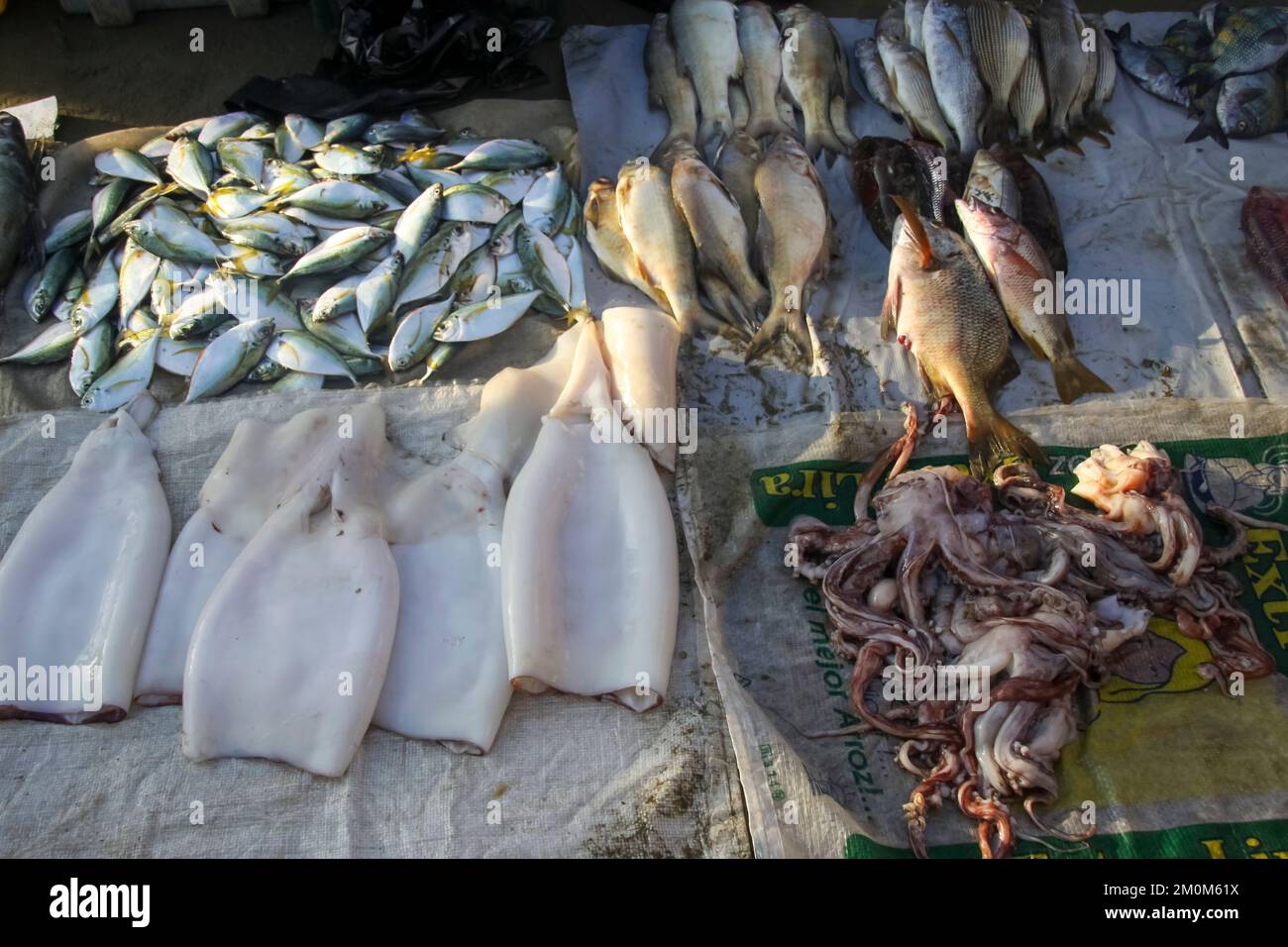 Fischmarkt in Puerto Lopez, Ecuador. Puerto López (16.000 Einwohner) ist ein kleines Fischerdorf in einer bogenförmigen Bucht an der Pazifikküste der EG Stockfoto
