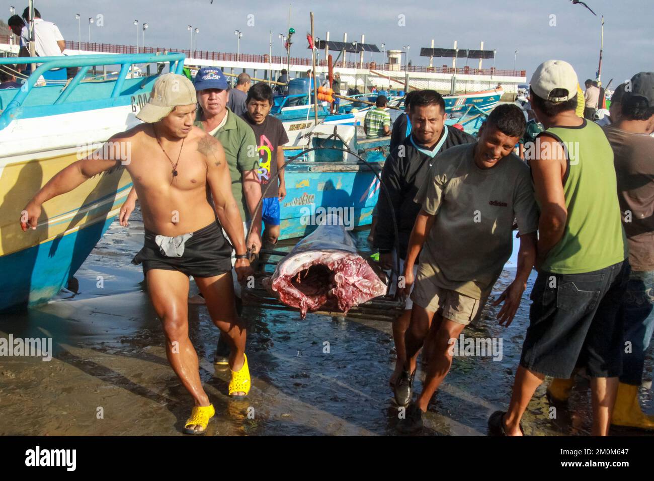 Fischmarkt in Puerto Lopez, Ecuador. Puerto López (16.000 Einwohner) ist ein kleines Fischerdorf in einer bogenförmigen Bucht an der Pazifikküste der EG Stockfoto