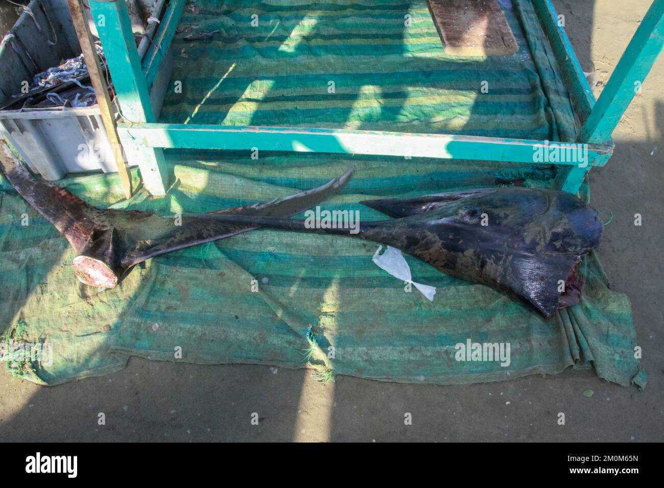 Fischmarkt in Puerto Lopez, Ecuador. Puerto López (16.000 Einwohner) ist ein kleines Fischerdorf in einer bogenförmigen Bucht an der Pazifikküste der EG Stockfoto
