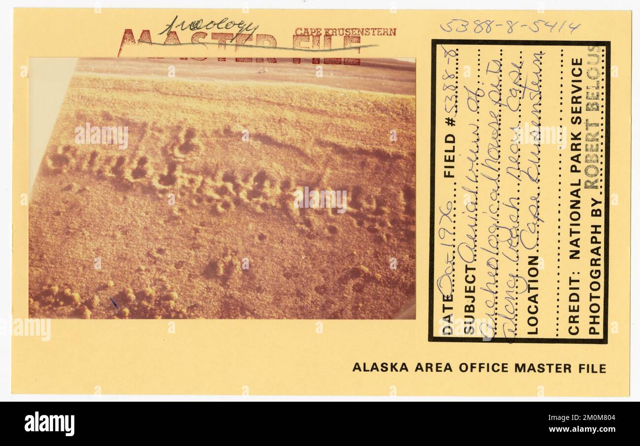 Blick aus der Vogelperspektive auf archäologische Baugruben am Strand in der Nähe von Cape. Alaska Task Force Fotos Stockfoto