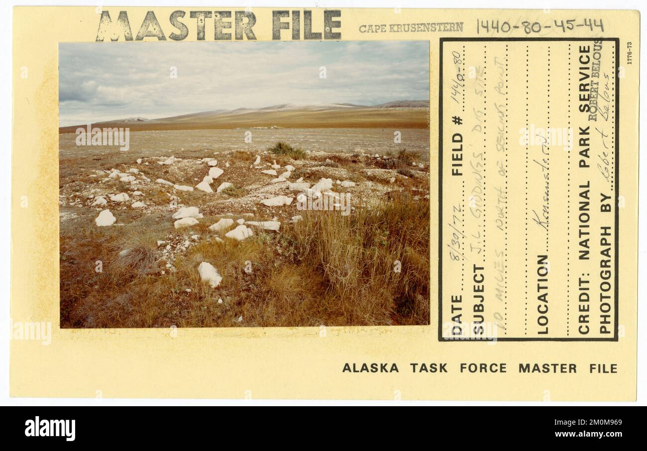 J.L. Giddings Grabstelle 10 Meilen nördlich von Sealing Point. Alaska Task Force Fotos Stockfoto