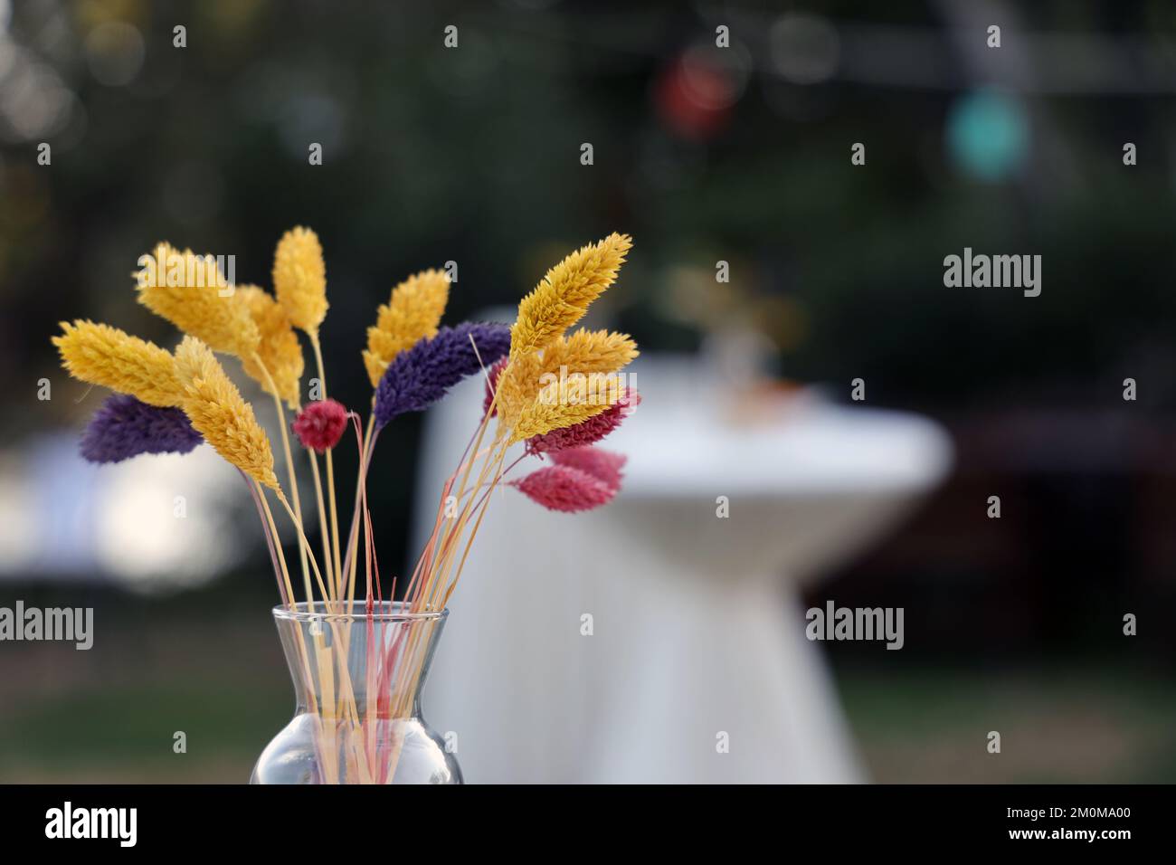 Trockene Blumen auf dem Tisch in der Hochzeitsdekoration Stockfoto