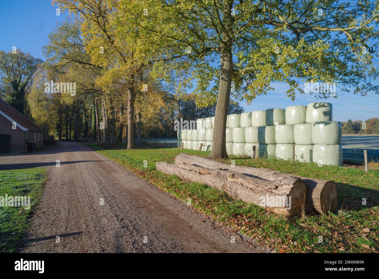 Ländlicher Sandweg mit Heuballen, die in Kunststoff gewickelt sind Stockfoto