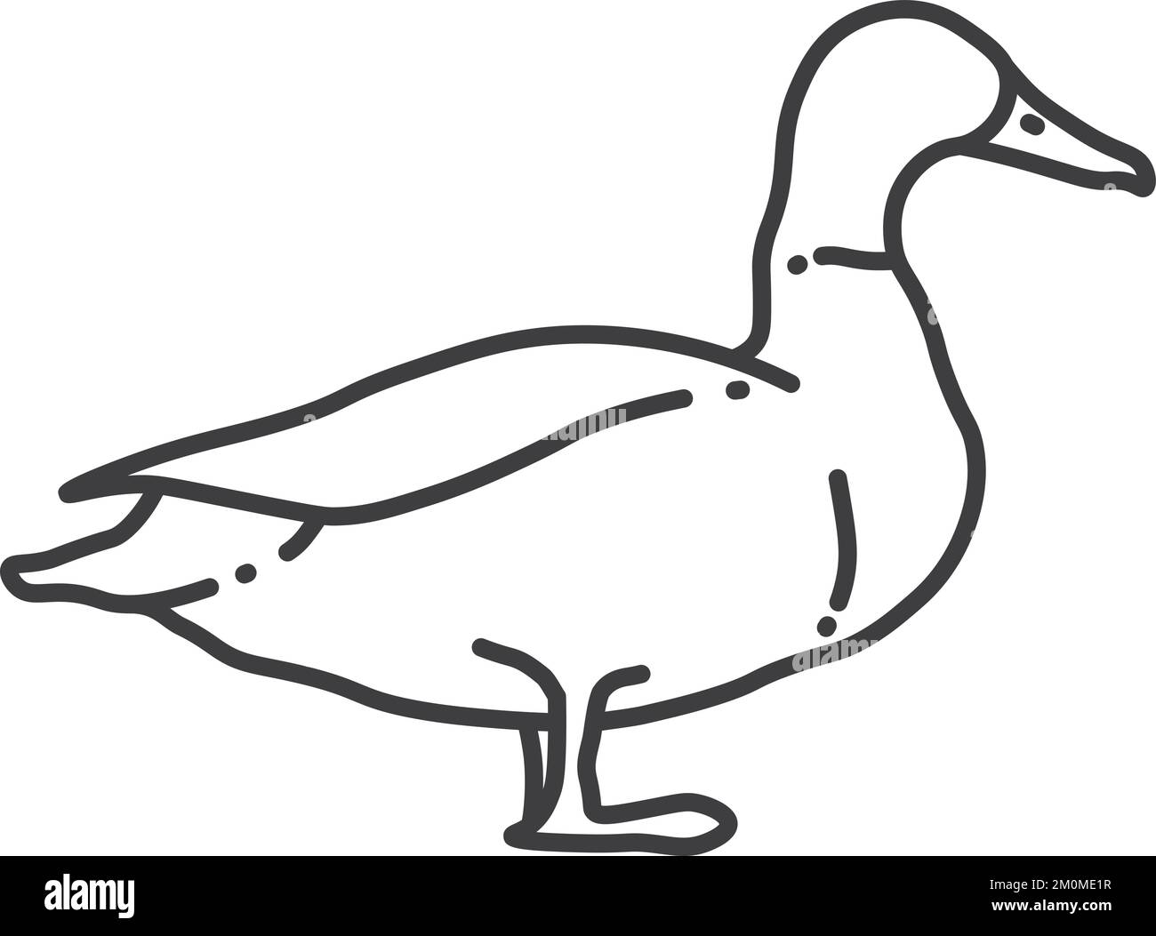Duck-Ikone. Schwarze Linie Bauernhof-Vogel-Symbol Stock Vektor