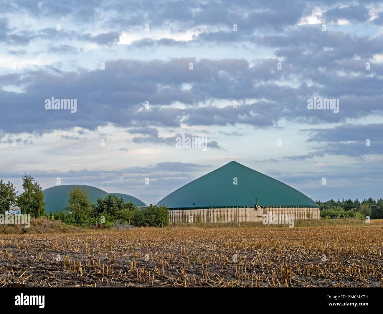 Außenaufnahme einer landwirtschaftlichen Biogasanlage auf einem geernteten Maisfeld in Niedersachsen. Stockfoto