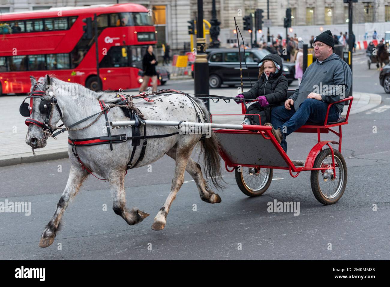 Veranstaltung mit dem Titel London Christmas Horse Drive of Gypsies, Travellers und Visitors aus ganz Großbritannien. Pony und Falle am Trafalgar Square. Stockfoto