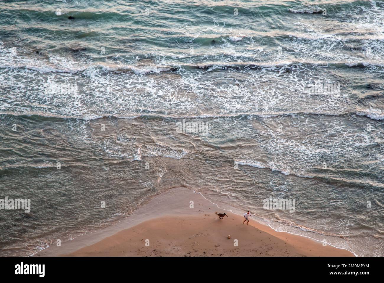 Ein Mann, der mit einem Hund an einem Strand in sizilien spielt Stockfoto