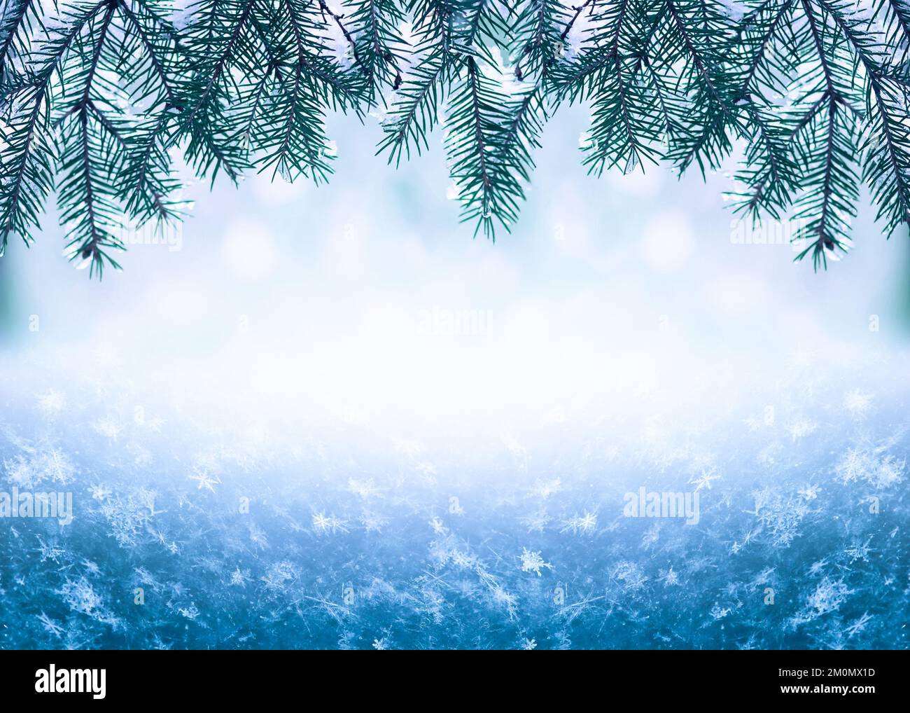 Winterweihnachtstrecken mit verschneiten Tannenzweigen und gefrorenen Schneeflocken. Design der Karte für Winterferien Stockfoto