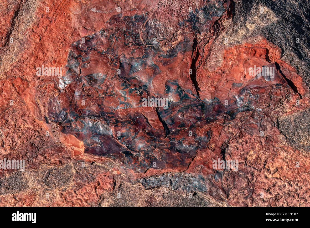 Farbenfrohe Oberfläche mineralisierter Steine. Ramon-Krater. Die Wüste der Negev. Israel. Selektiver Fokus Stockfoto