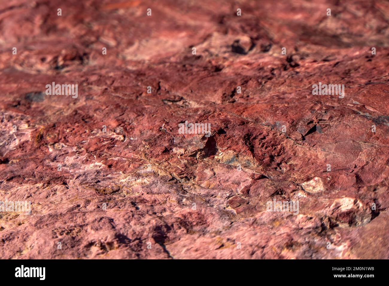 Farbenfrohe Oberfläche mineralisierter Steine. Ramon-Krater. Die Wüste der Negev. Israel. Selektiver Fokus Stockfoto