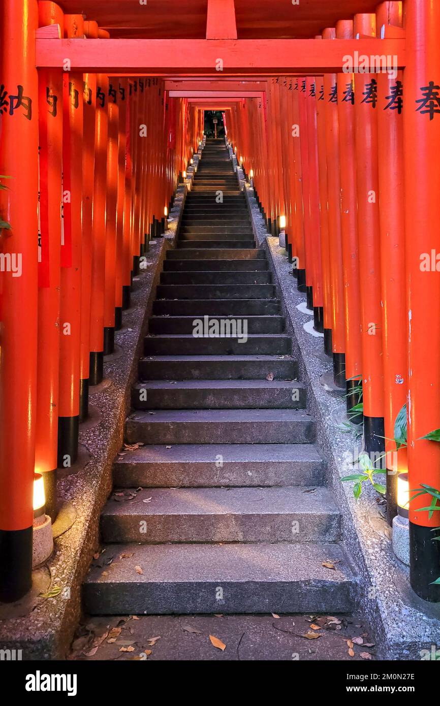 Orange Torii Gate Tunnel am Hie Jinja Shinto Schrein, Tokio, Japan Stockfoto