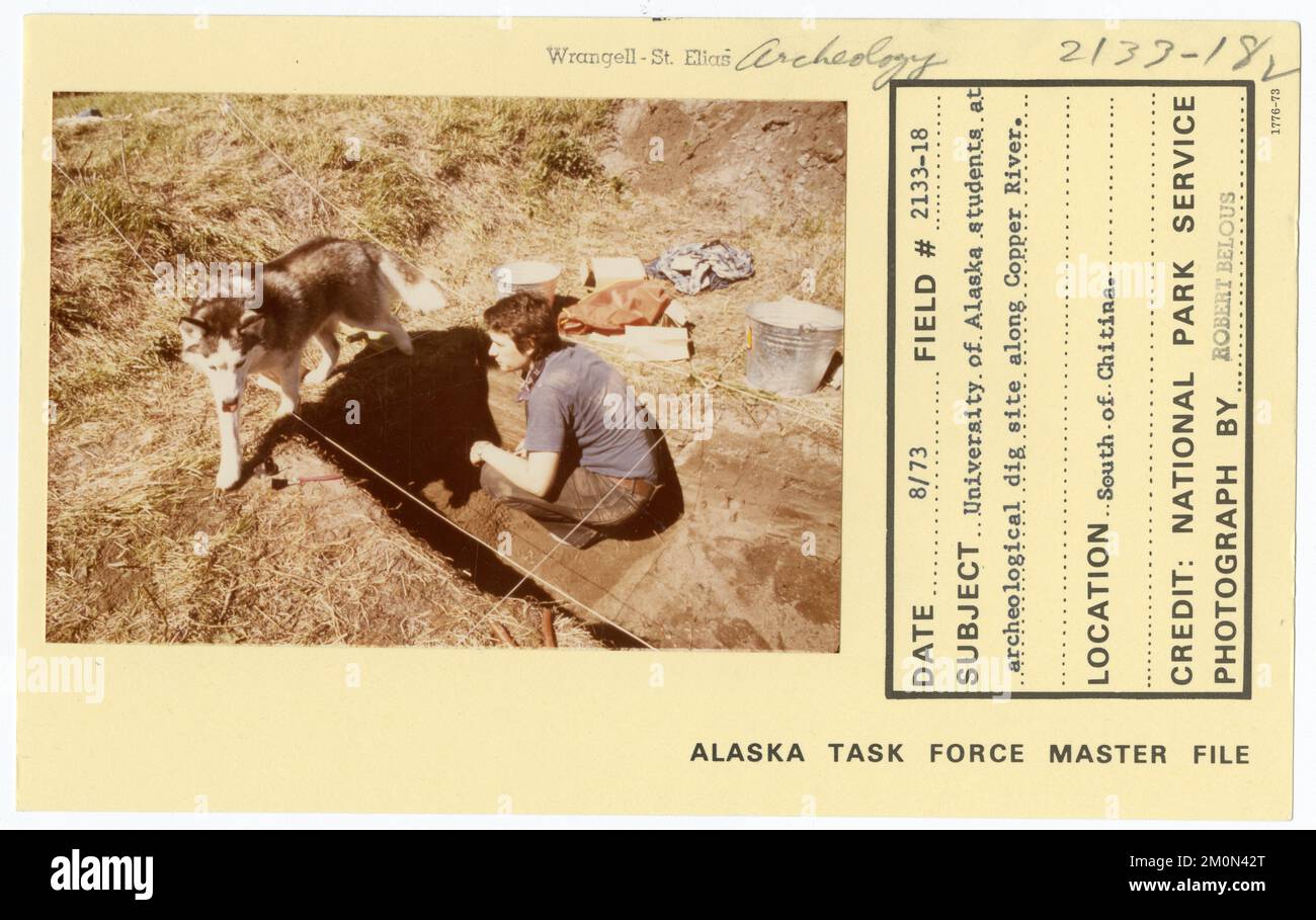 Studenten der Universität von Alaska an einer archäologischen Ausgrabungsstätte am Copper River. Alaska Task Force Fotos Stockfoto