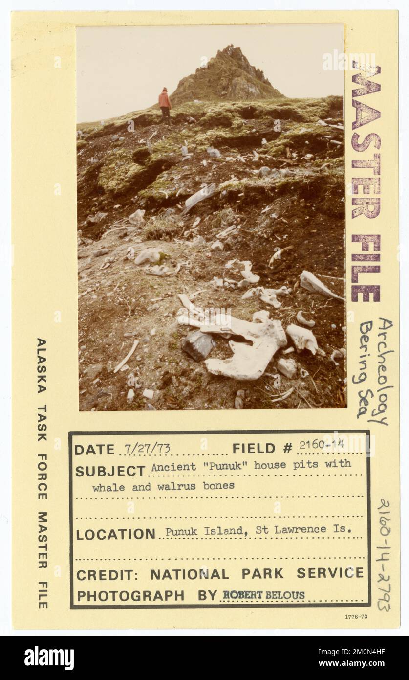 Alte „Punuk“-Baugruben mit Wal- und Walrossknochen. Alaska Task Force Fotos Stockfoto