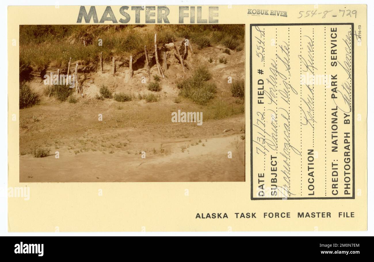 Onion Portage archäologische Ausgrabungsstätte. Alaska Task Force Fotos Stockfoto