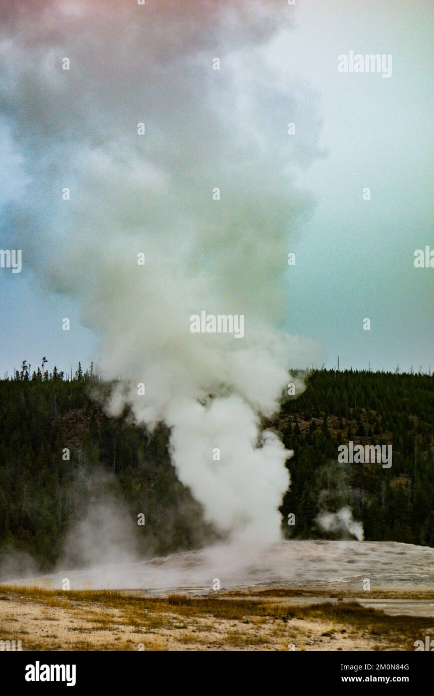 Old Faithful im Yellowstone National Park Stockfoto