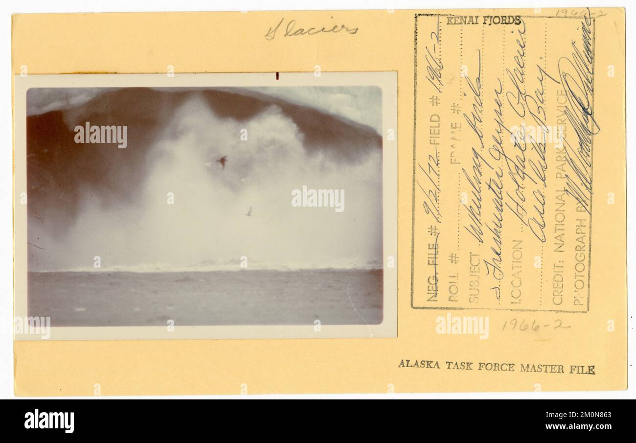 Radvögel und Süßwassergeysir. Alaska Task Force Fotos Stockfoto