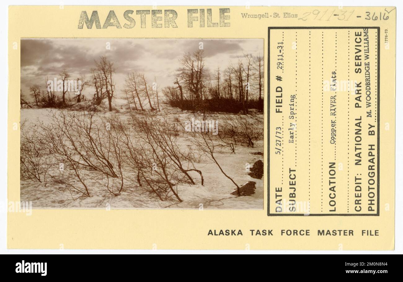 Frühling. Alaska Task Force Fotos Stockfoto