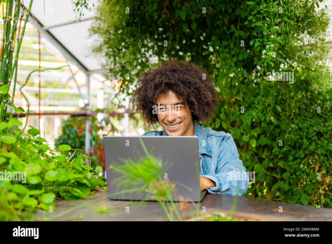 Fröhlicher junger afro-italienischer Student mit dickem lockigem Haar in legerer Kleidung benutzt Laptop im Freien in grünen, freien Bereichen für Stockfoto