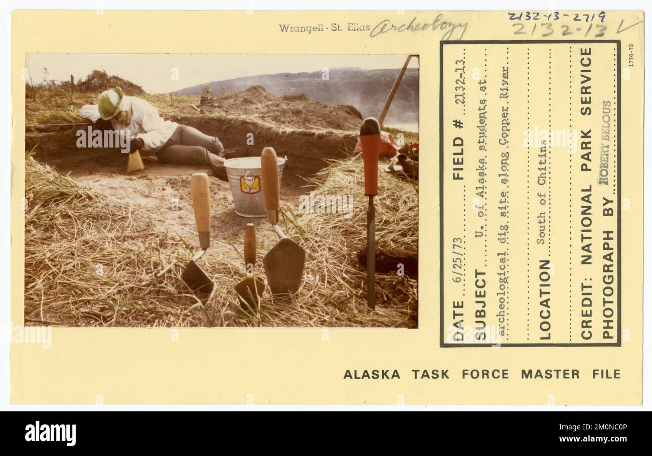 Studenten von Alaska an einer archäologischen Ausgrabungsstätte am Copper River. Alaska Task Force Fotos Stockfoto