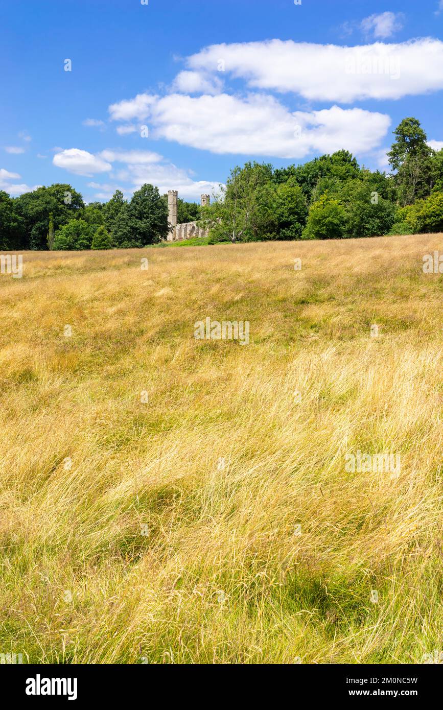 Battle East Sussex die Wiese, auf der 1066 das Schlachtfeld von Battle of Hastings in den Ruinen von Battle Abbey Battle England UK stattfand Stockfoto