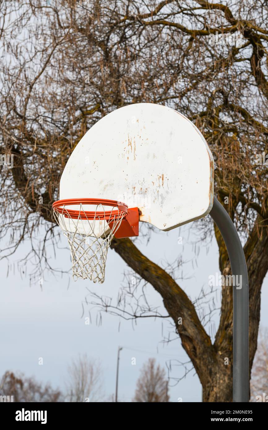 Orangefarbener Basketballkorb mit Netz im Freien mit blattlosem Baum und markierter weißer Rückwand Stockfoto