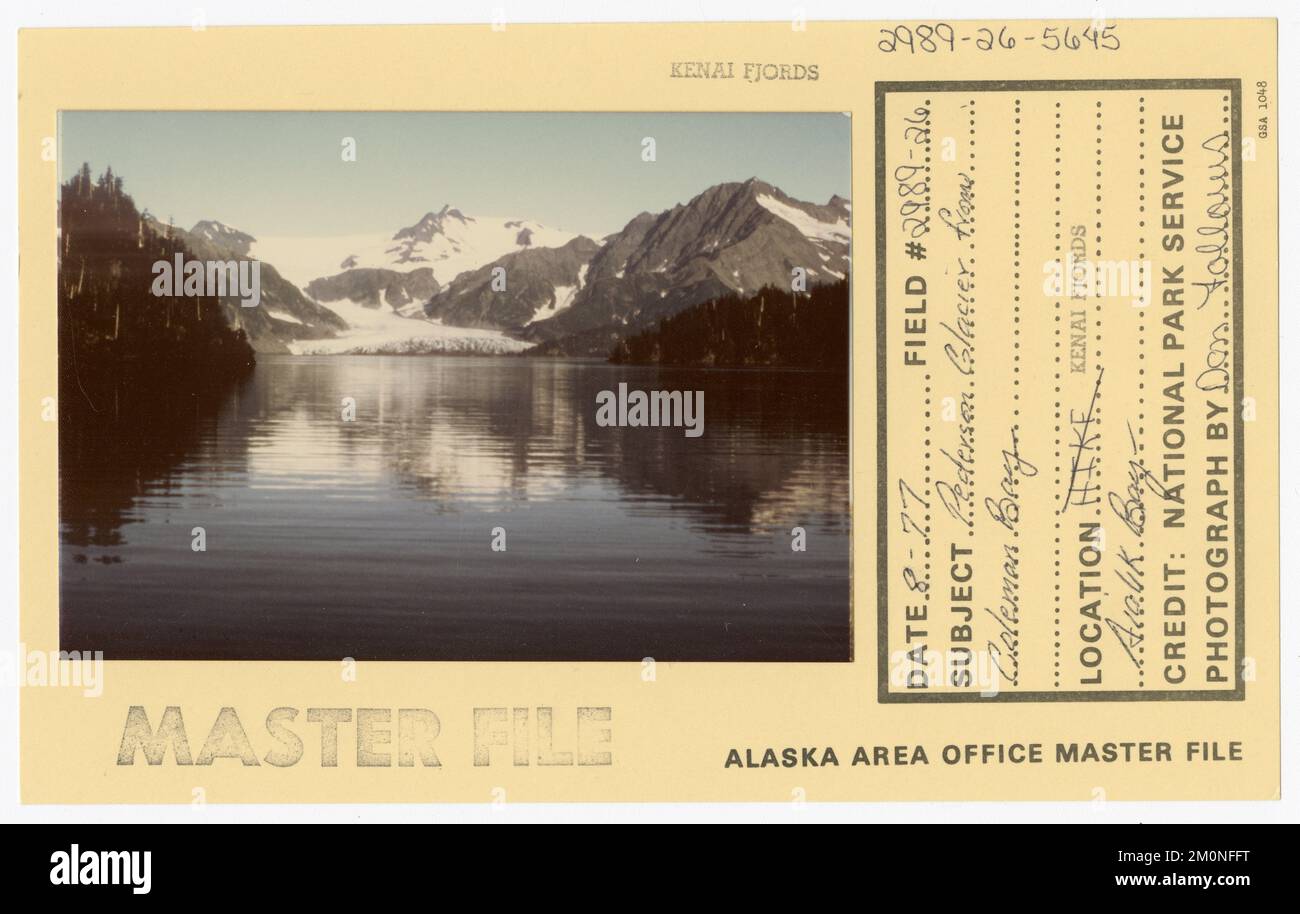 Pederson-Gletscher aus Coleman Bay. Alaska Task Force Fotos Stockfoto