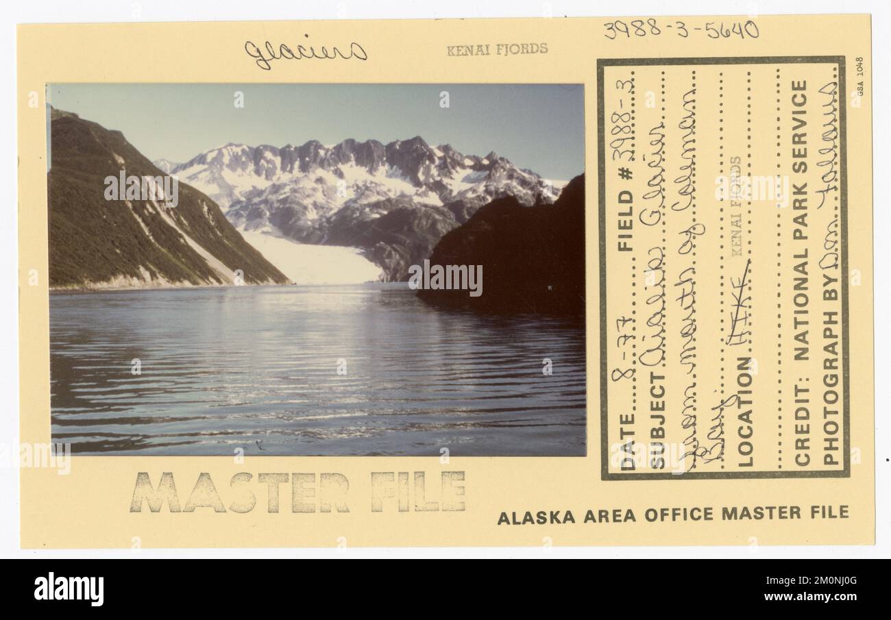 Aialik-Gletscher aus der Mündung von Coleman Bay. Alaska Task Force Fotos Stockfoto