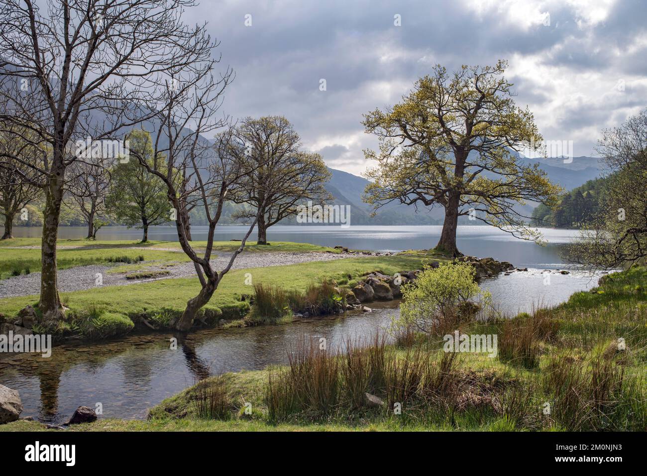 Bach neben Buttermere im Lake District Stockfoto