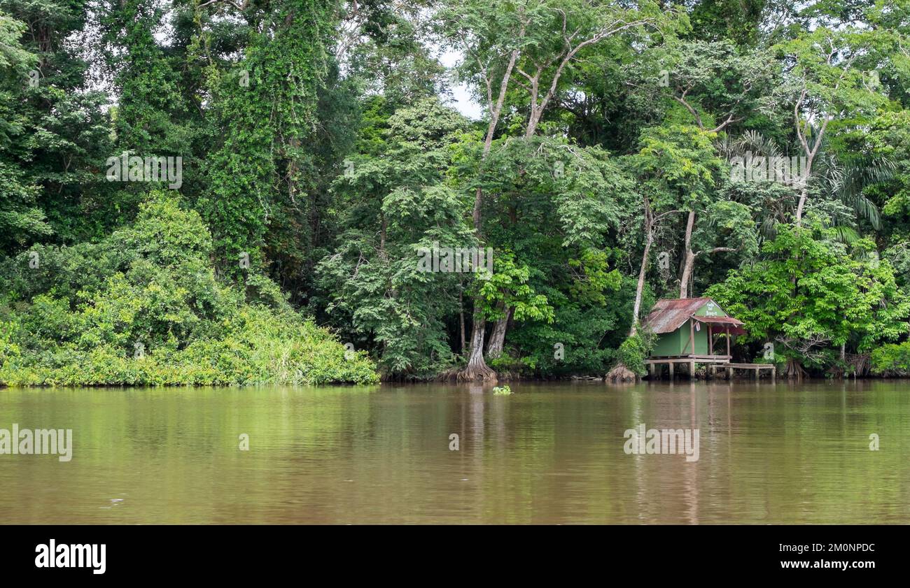 Dschungel und kleines Holzhaus am Ufer des Tortuguero-Kanals in Costa Rica Stockfoto