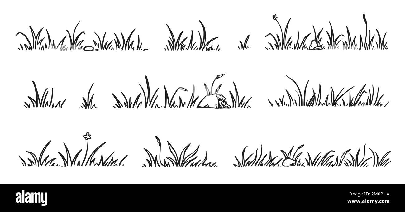 Zeichensatz Graskritzel. Handgezeichneter Grasfeldumriss mit Kritzelhintergrund. Sprossen, Blüten, Klee. Vektordarstellung. Stock Vektor